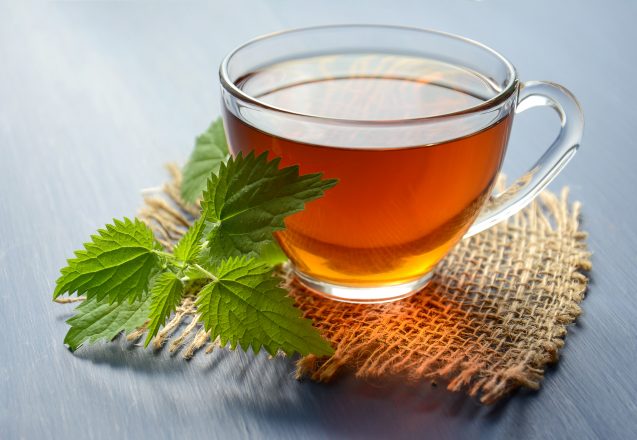 Foods That Help Boost Your Memory