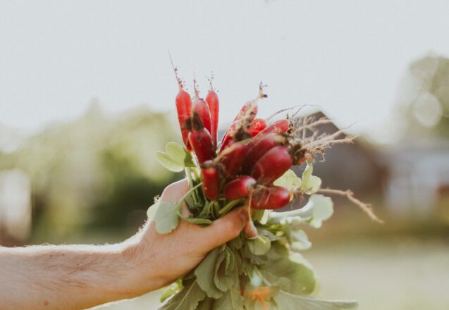 Is Eating Organic Really Healthier?