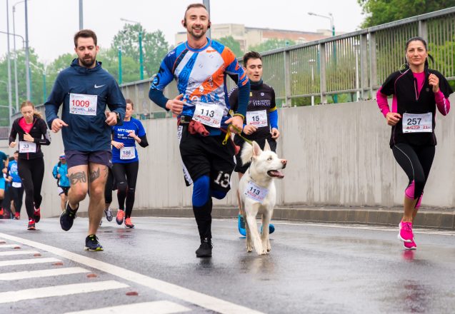 How To Train For A Marathon