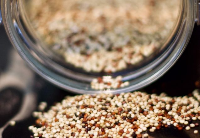 The Best Plant-Based Protein